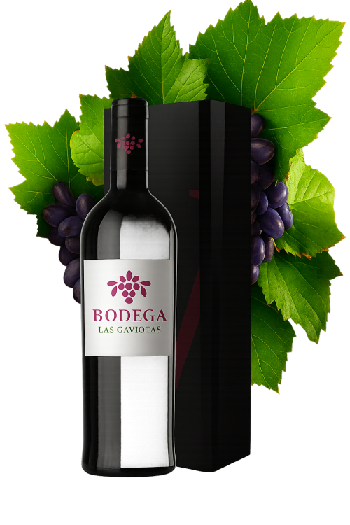 ChatGPT Image 21 nov 2025, 05_05_53 p.m.